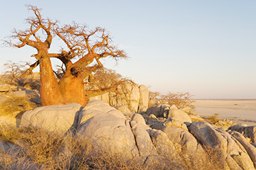 塞莱比-皮奎港口查询_selebi pikwe港口代码_博茨瓦纳塞莱比-皮奎港口代码