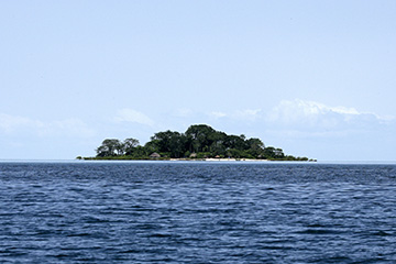 卡谢乌港口查询_cacheu港口代码_几内亚比绍卡谢乌港口代码