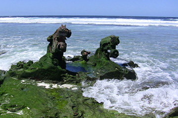 纳威利威利港口查询_nawiliwili港口代码_美属太平洋群岛纳威利威利港口代码