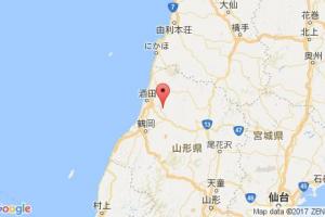 师崎港口查询_shinsaki港口代码_日本师崎港口代码