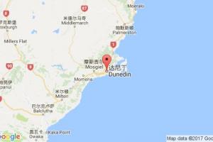 达尼丁港口查询_dunedin港口代码_新西兰达尼丁港口代码
