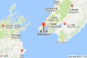 惠灵顿港口查询_wellington港口代码_新西兰惠灵顿港口代码